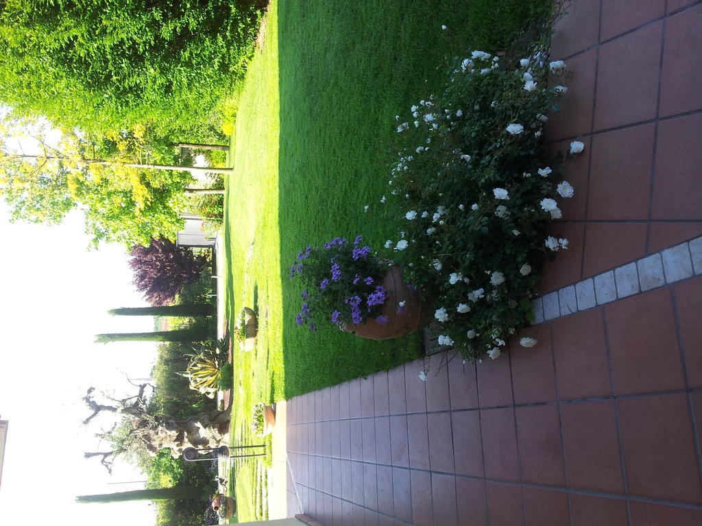 Casa Costa Relais B&B Monteforte d'Alpone Exterior photo